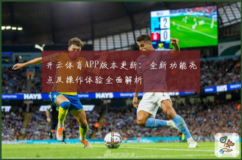 开云体育APP版本更新：全新功能亮点及操作体验全面解析