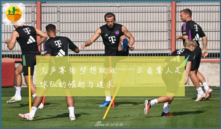 无声赛场 梦想绽放——云南聋人足球队的崛起与追求